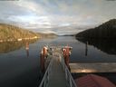 ./images/calvert/dock/20191103/dock20191103_152501.jpg