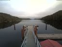 ./images/calvert/dock/20191103/dock20191103_161002.jpg