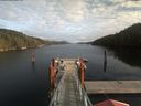 ./images/calvert/dock/20191104/dock20191104_134501.jpg