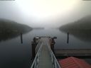 ./images/calvert/dock/20191106/dock20191106_092503.jpg