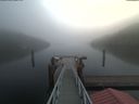 ./images/calvert/dock/20191106/dock20191106_101501.jpg