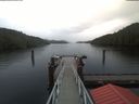./images/calvert/dock/20191107/dock20191107_093503.jpg