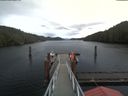 ./images/calvert/dock/20191107/dock20191107_123503.jpg