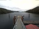 ./images/calvert/dock/20191108/dock20191108_120501.jpg