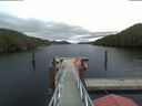 ./images/calvert/dock/20191109/dock20191109_080502.jpg