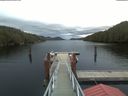 ./images/calvert/dock/20191109/dock20191109_081504.jpg