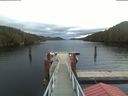 ./images/calvert/dock/20191109/dock20191109_082501.jpg