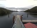 ./images/calvert/dock/20191109/dock20191109_092504.jpg