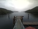 ./images/calvert/dock/20191109/dock20191109_140004.jpg