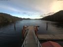 ./images/calvert/dock/20191110/dock20191110_135002.jpg