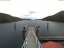 ./images/calvert/dock/20191111/dock20191111_091004.jpg