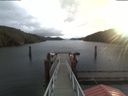 ./images/calvert/dock/20191112/dock20191112_092002.jpg