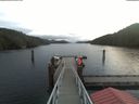 ./images/calvert/dock/20191112/dock20191112_094502.jpg