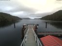 ./images/calvert/dock/20191112/dock20191112_132502.jpg