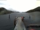 ./images/calvert/dock/20191116/dock20191116_091502.jpg