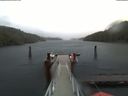 ./images/calvert/dock/20191116/dock20191116_094502.jpg