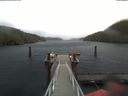 ./images/calvert/dock/20191116/dock20191116_102004.jpg