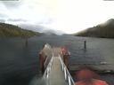 ./images/calvert/dock/20191116/dock20191116_104002.jpg