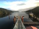 ./images/calvert/dock/20191117/dock20191117_115002.jpg