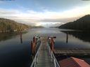 ./images/calvert/dock/20191117/dock20191117_124502.jpg