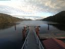 ./images/calvert/dock/20191117/dock20191117_150504.jpg
