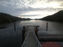 ./images/calvert/dock/20191120/dock20191120_094504.jpg