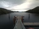 ./images/calvert/dock/20191121/dock20191121_124501.jpg