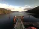 ./images/calvert/dock/20191124/dock20191124_135504.jpg