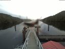 ./images/calvert/dock/20191217/dock20191217_140002.jpg