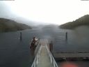 ./images/calvert/dock/20191230/dock20191230_090504.jpg