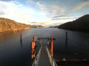 ./images/calvert/dock/20200106/dock20200106_151001.jpg