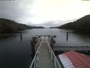 ./images/calvert/dock/20200109/dock20200109_121504.jpg