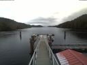 ./images/calvert/dock/20200109/dock20200109_123502.jpg