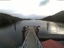 ./images/calvert/dock/20200111/dock20200111_101502.jpg
