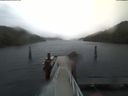 ./images/calvert/dock/20200119/dock20200119_132504.jpg