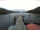 ./images/calvert/dock/20200205/dock20200205_085503.jpg