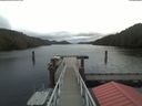 ./images/calvert/dock/20200205/dock20200205_093501.jpg