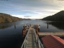 ./images/calvert/dock/20200209/dock20200209_125201.jpg