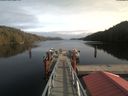 ./images/calvert/dock/20200209/dock20200209_131902.jpg
