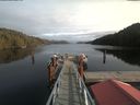 ./images/calvert/dock/20200209/dock20200209_134301.jpg