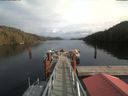 ./images/calvert/dock/20200209/dock20200209_135602.jpg