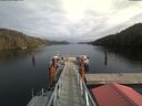 ./images/calvert/dock/20200209/dock20200209_141301.jpg