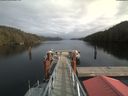./images/calvert/dock/20200209/dock20200209_141601.jpg