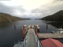 ./images/calvert/dock/20200209/dock20200209_143602.jpg