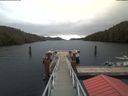 ./images/calvert/dock/20200210/dock20200210_121302.jpg
