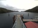 ./images/calvert/dock/20200210/dock20200210_122602.jpg