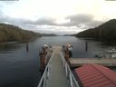 ./images/calvert/dock/20200210/dock20200210_134302.jpg