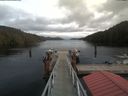 ./images/calvert/dock/20200210/dock20200210_135801.jpg