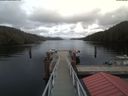 ./images/calvert/dock/20200210/dock20200210_143101.jpg