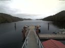 ./images/calvert/dock/20200210/dock20200210_152301.jpg